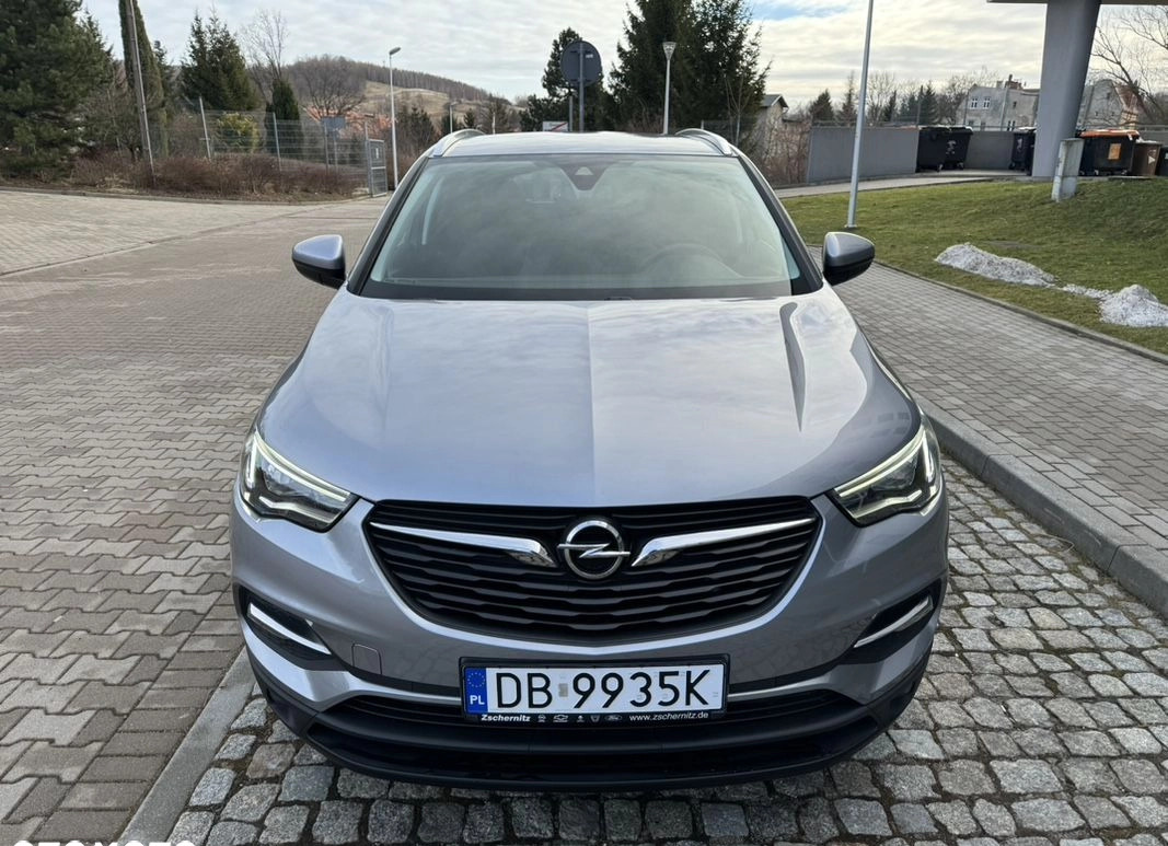 Opel Grandland X cena 71999 przebieg: 46000, rok produkcji 2018 z Kalety małe 379